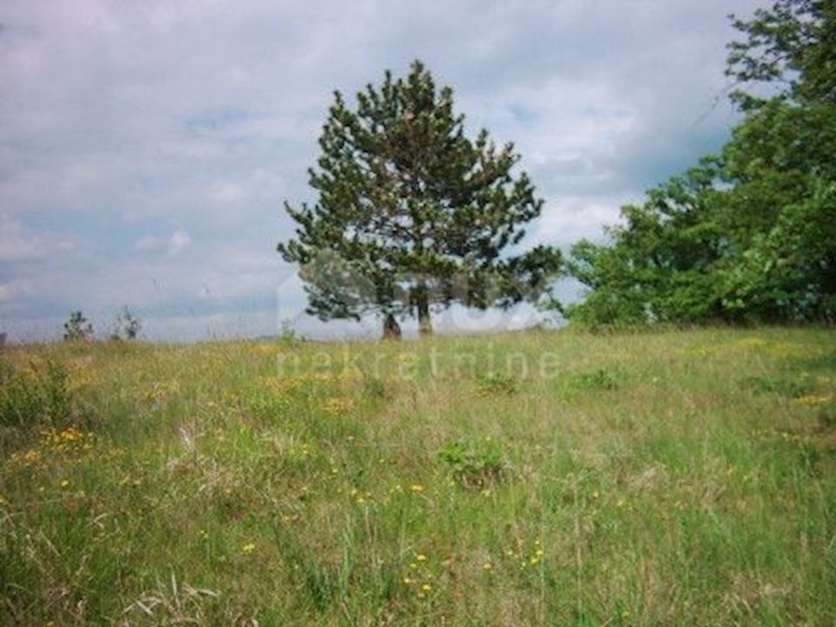 Casa In vendita - ISTARSKA  BUZET 