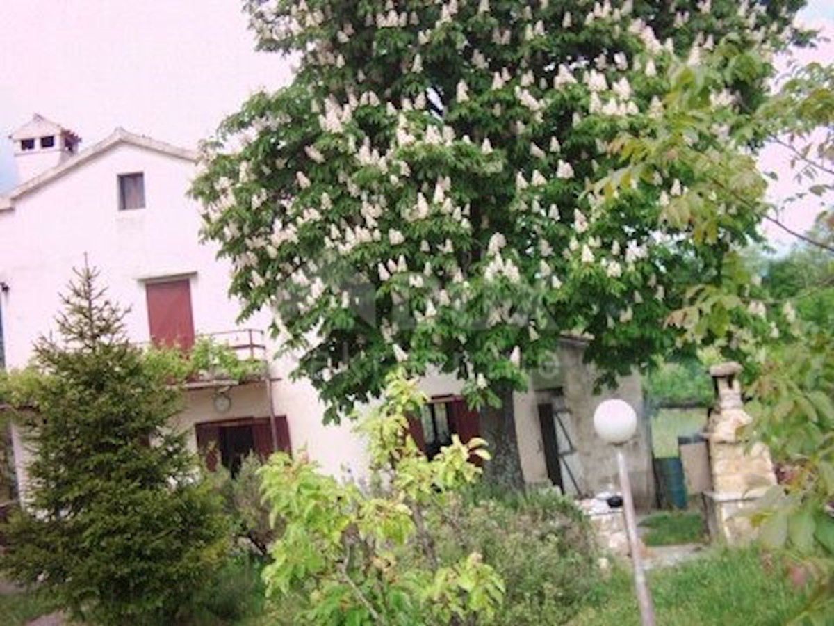 House For sale - ISTARSKA  BUZET 