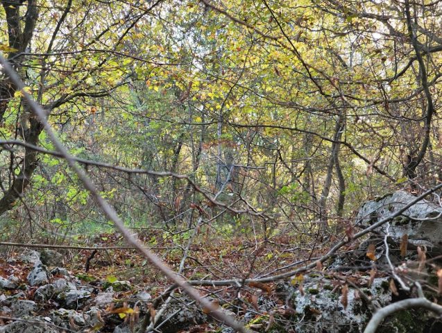 Terreno in vendita 19970 m² – Vrh