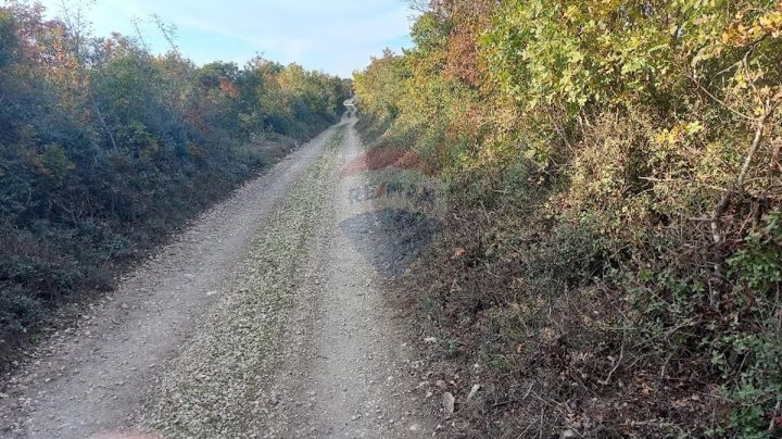 Działka Na sprzedaż - Istarska Fažana - foto 2/8
