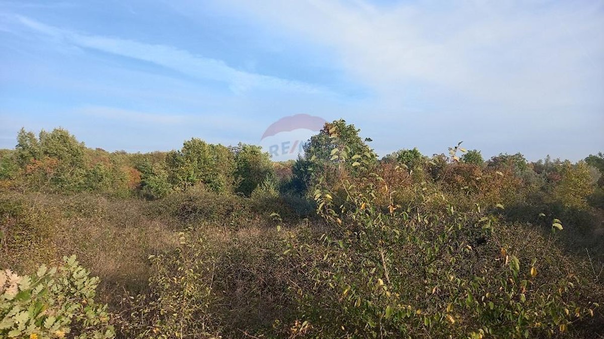 Działka Na sprzedaż - ISTARSKA  Fažana
