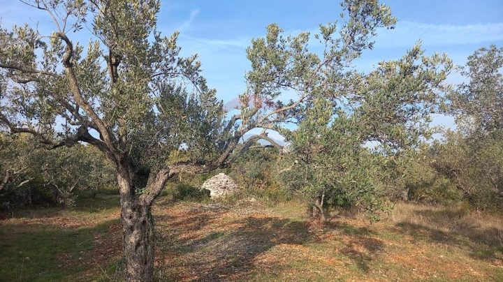 Terreno in vendita 7970 m² – Fažana