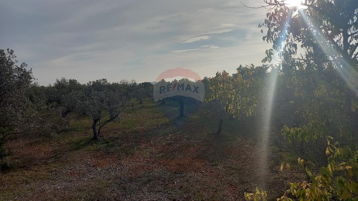 Działka Na sprzedaż - ISTARSKA  FAŽANA 