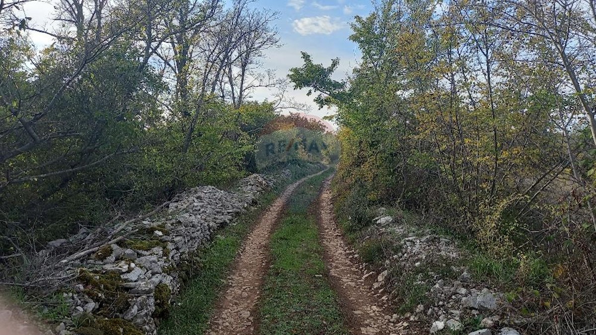 Działka Na sprzedaż - ISTARSKA  FAŽANA 