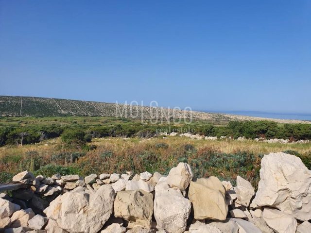 Land for sale 4532 m² – Kolan