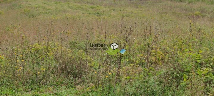 Grundstück zu verkaufen 3127 m² – Barban