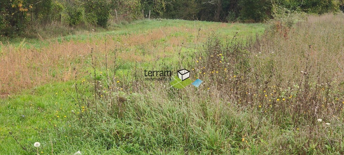 Land For sale - ISTARSKA  BARBAN 