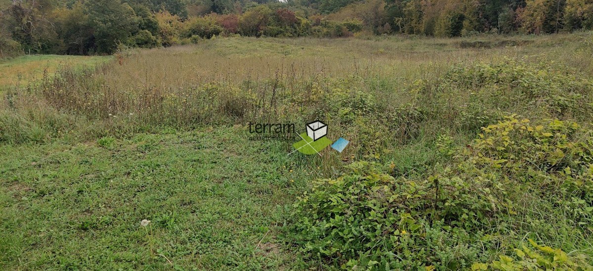 Land For sale - ISTARSKA  BARBAN 