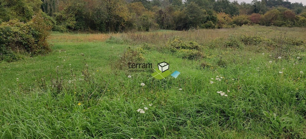 Land For sale - ISTARSKA  BARBAN 