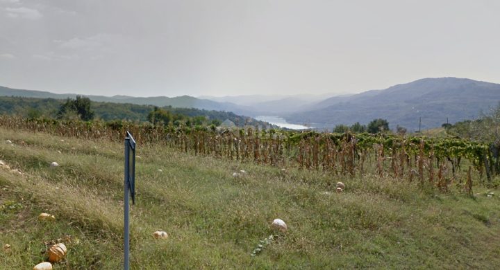 Parcela na predaj 2134 m² – Motovun