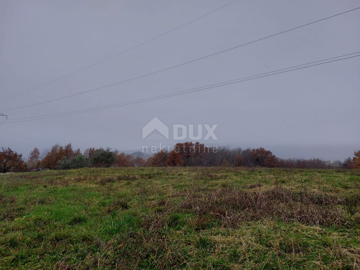 Pozemek Na prodej - ISTARSKA  MOTOVUN 