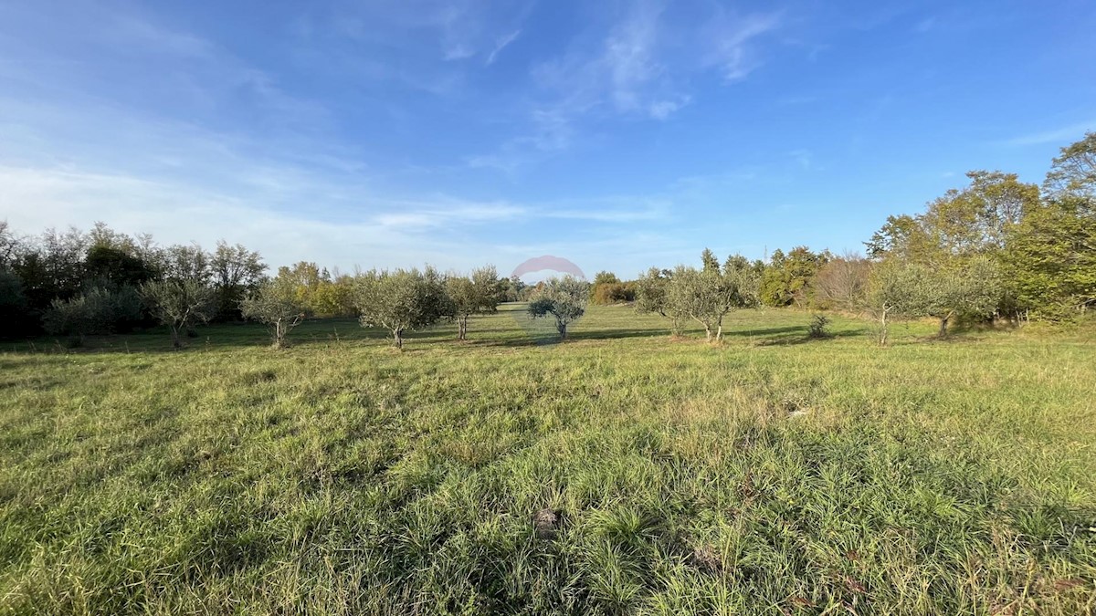 Terreno In vendita - ISTARSKA  SVETI LOVREČ 