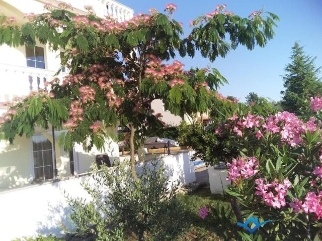 Hiša Naprodaj - Istarska Poreč - foto 4/33
