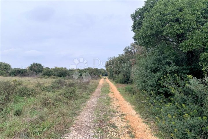 Land For sale - Istarska Pula - foto 3/4