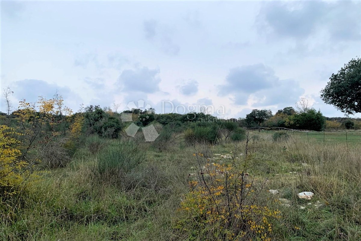 Land For sale - Istarska Pula - foto 2/4