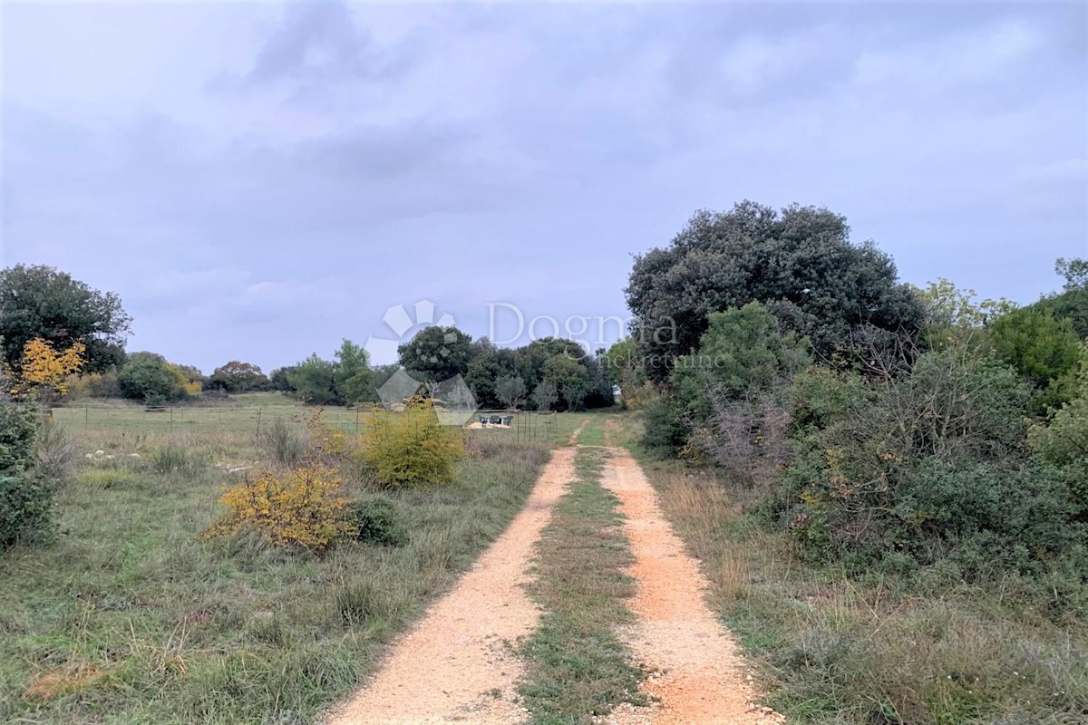 Land For sale - Istarska Pula - foto 4/4