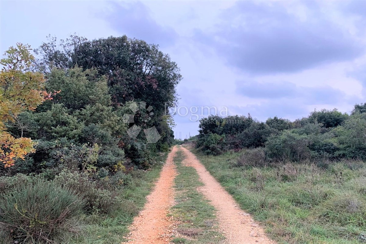 Land For sale - ISTARSKA  Pula