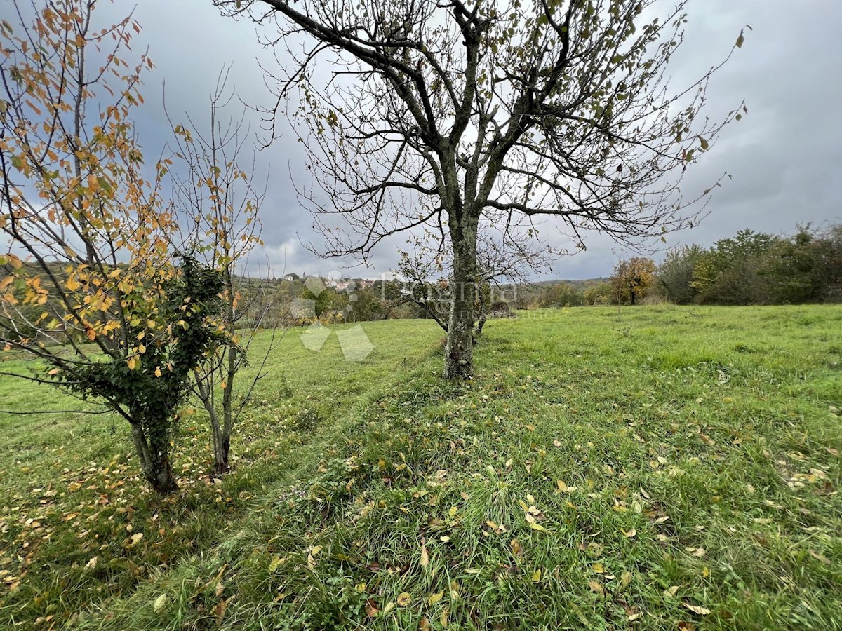 Grundstück Zu verkaufen