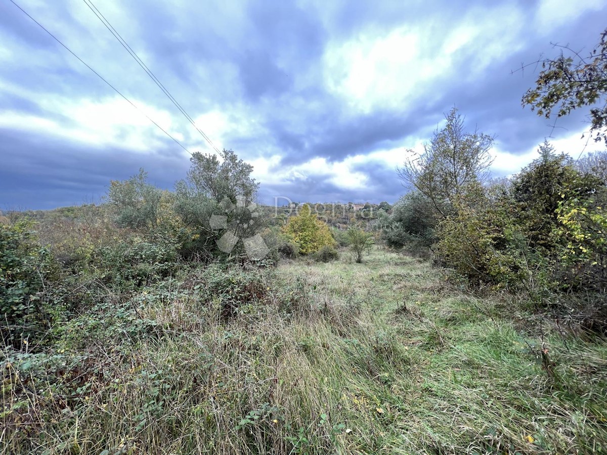 Terreno In vendita - ISTARSKA  KAROJBA 