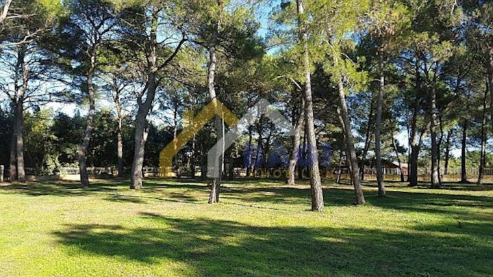 Terrain à vendre 12058 m² – Rovinj