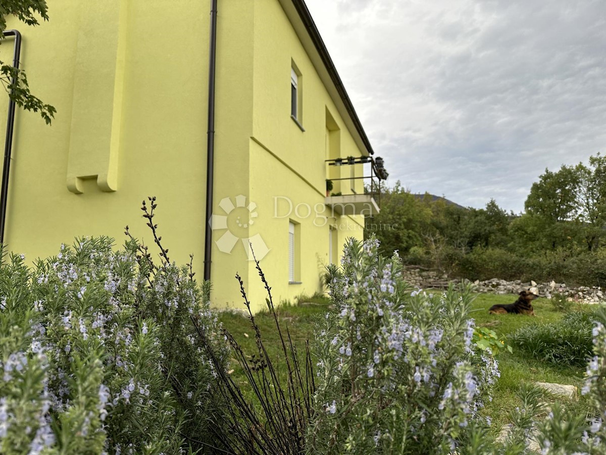 House For sale - ISTARSKA  LUPOGLAV 