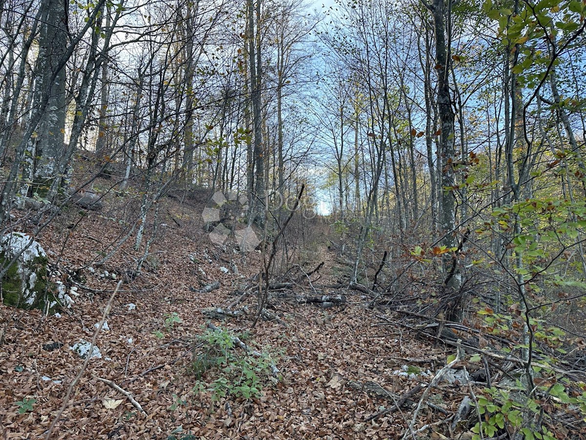 Pozemek Na prodej - Primorsko-goranska Matulji - foto 1/1