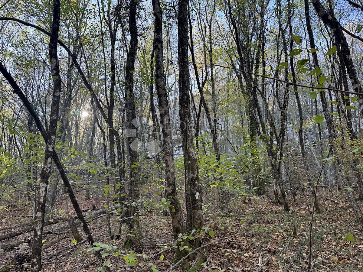 Terreno In vendita POLJANE