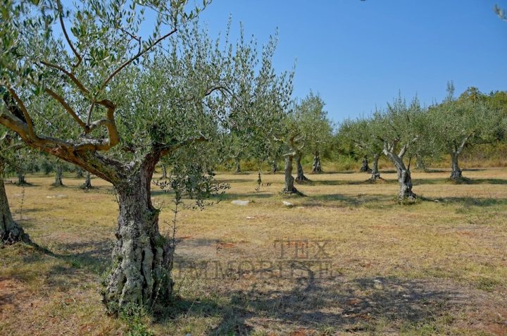 Terreno in vendita 3697 m² – Poreč