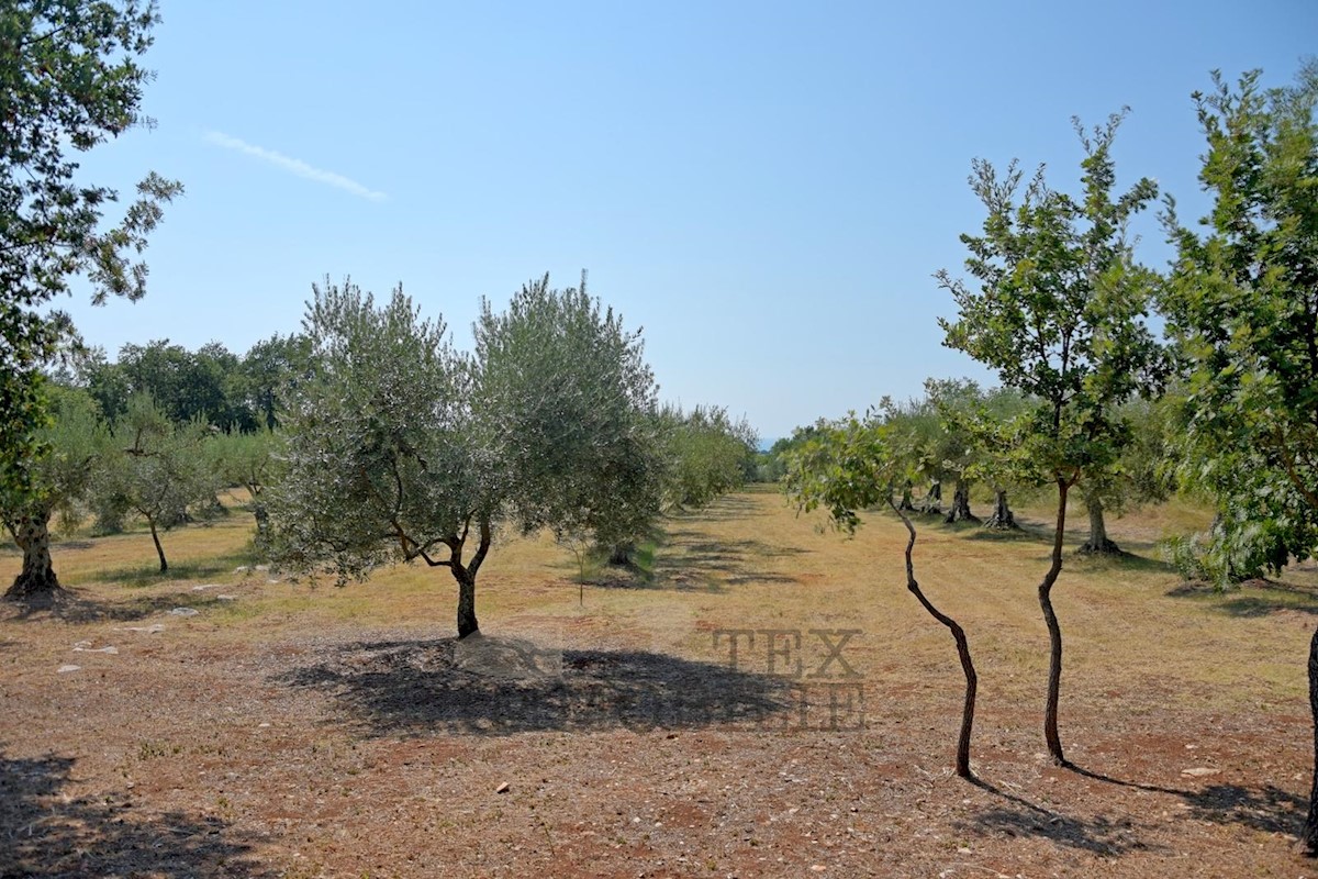 Parcela Naprodaj - ISTARSKA  Poreč