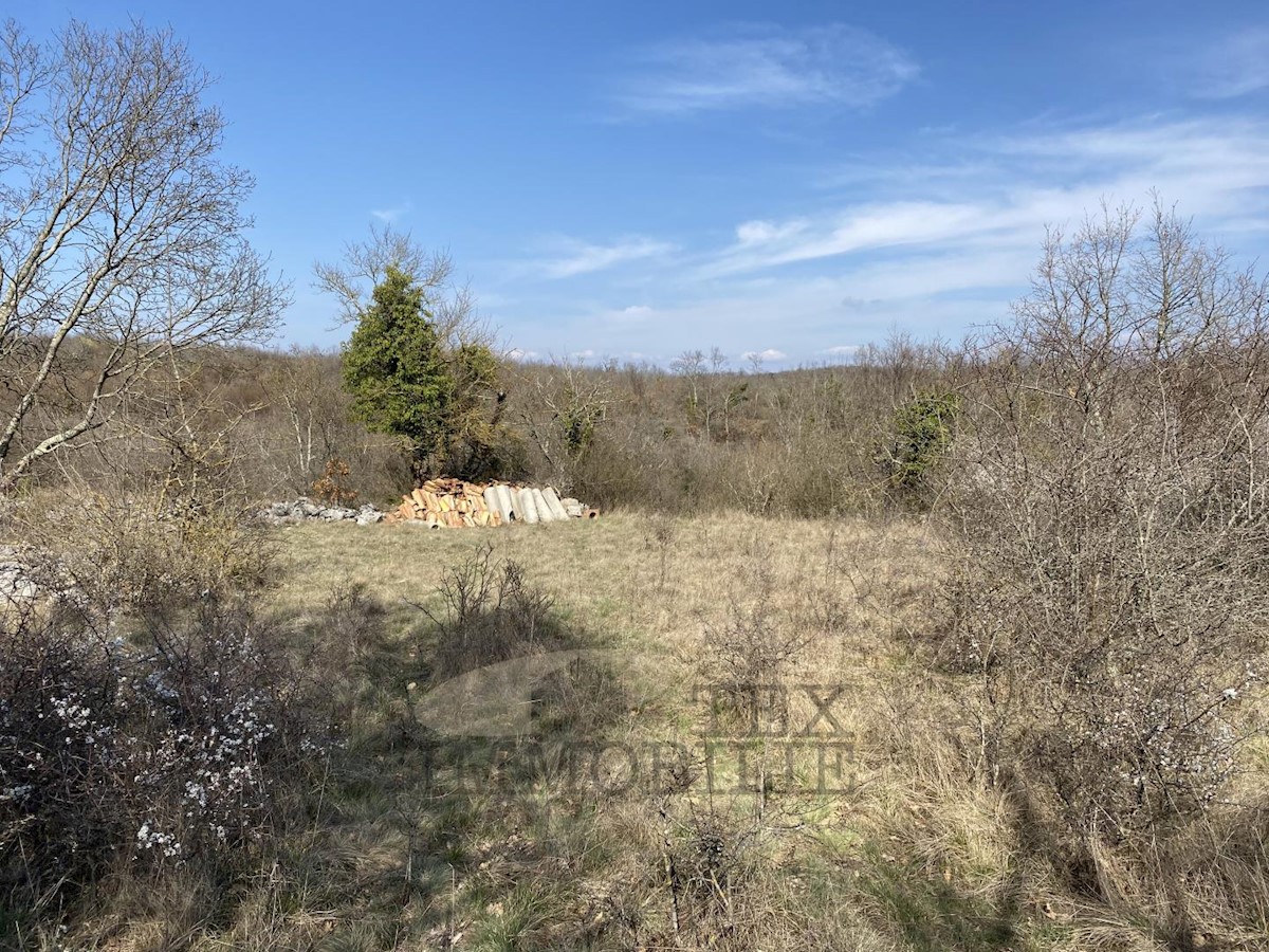 Land For sale - ISTARSKA  VIŠNJAN 