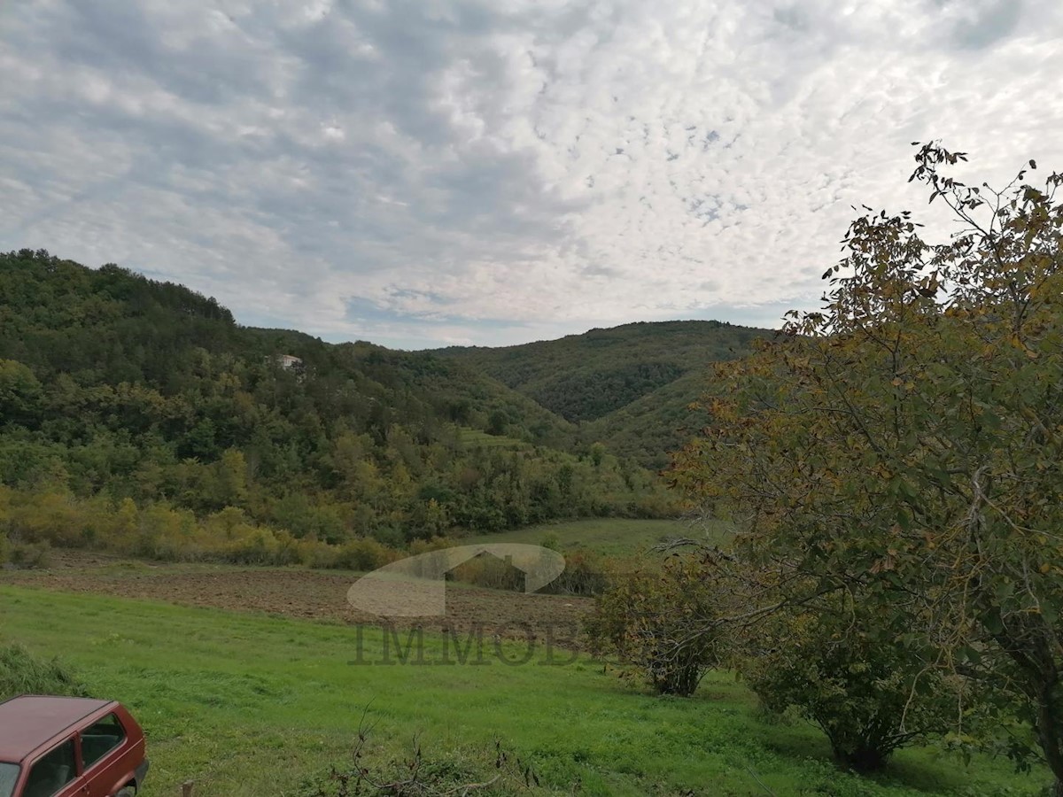 House For sale - ISTARSKA  MOTOVUN 