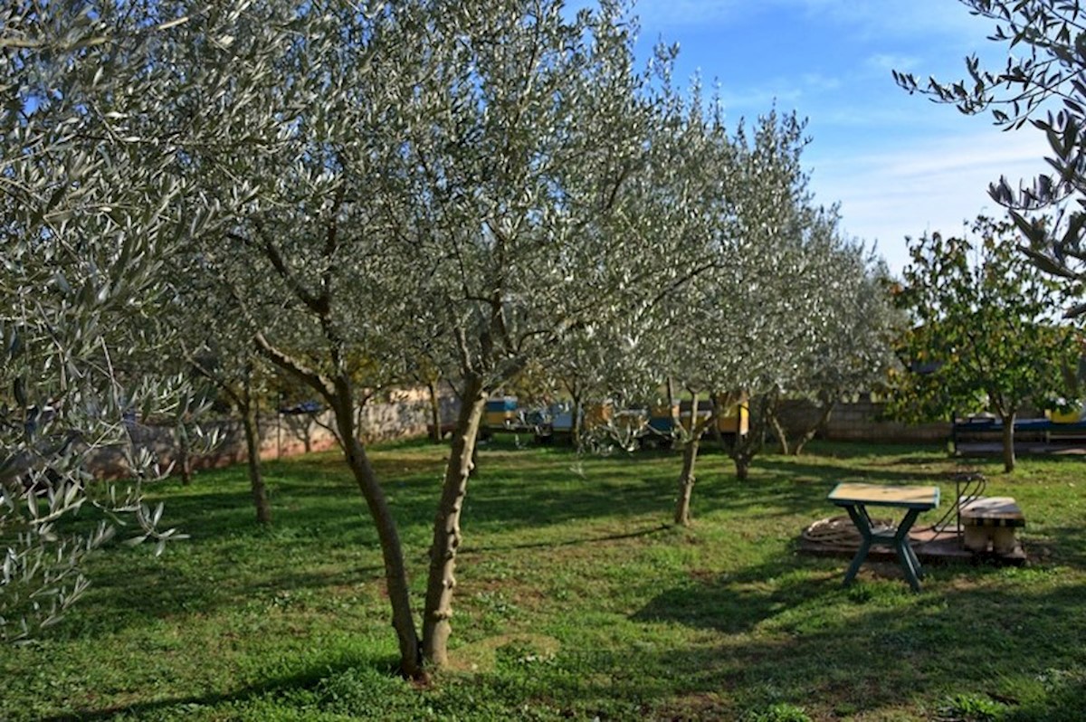 Maison À vendre - ISTARSKA  POREČ 