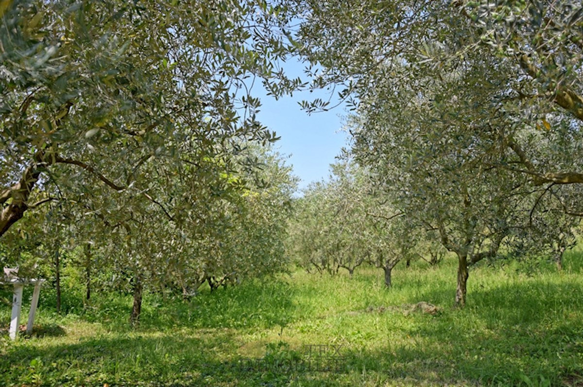 Casa In vendita - ISTARSKA  POREČ 