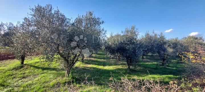 Pozemok na predaj 3433 m² – Pula