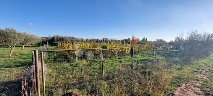 Parcela Naprodaj - Istarska Pula - foto 3/5