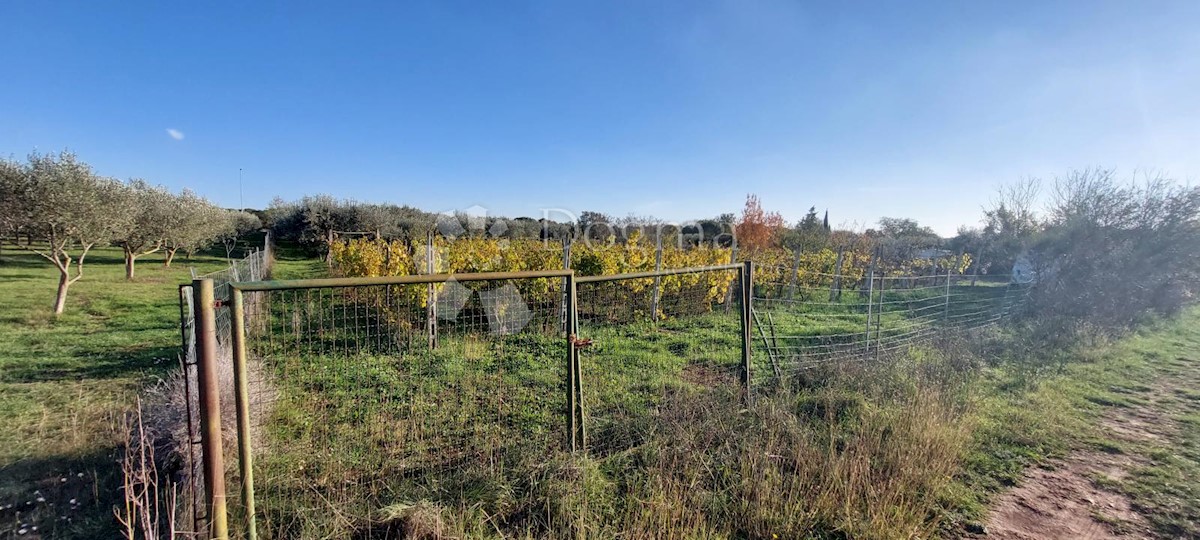 Terreno In vendita - ISTARSKA  PULA 