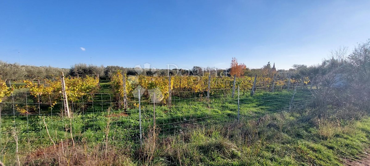 Terreno In vendita - ISTARSKA  PULA 