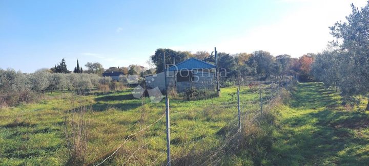 Pozemok na predaj 14721 m² – Pula