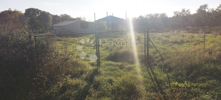 Parcela Naprodaj - Istarska Pula - foto 3/3