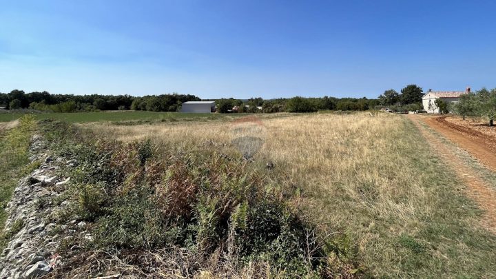 Grundstück zu verkaufen 4493 m² – Sveti Lovreč Pazenatički