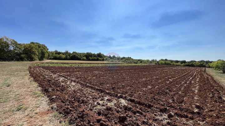 Terrain À vendre - Istarska Sveti Lovreč - foto 5/5