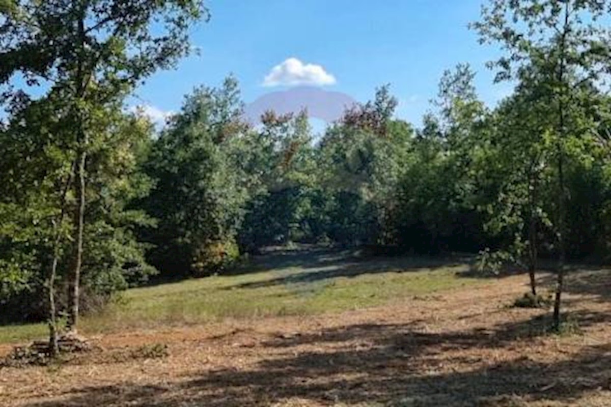 Terreno In vendita - ISTARSKA  PAZIN 