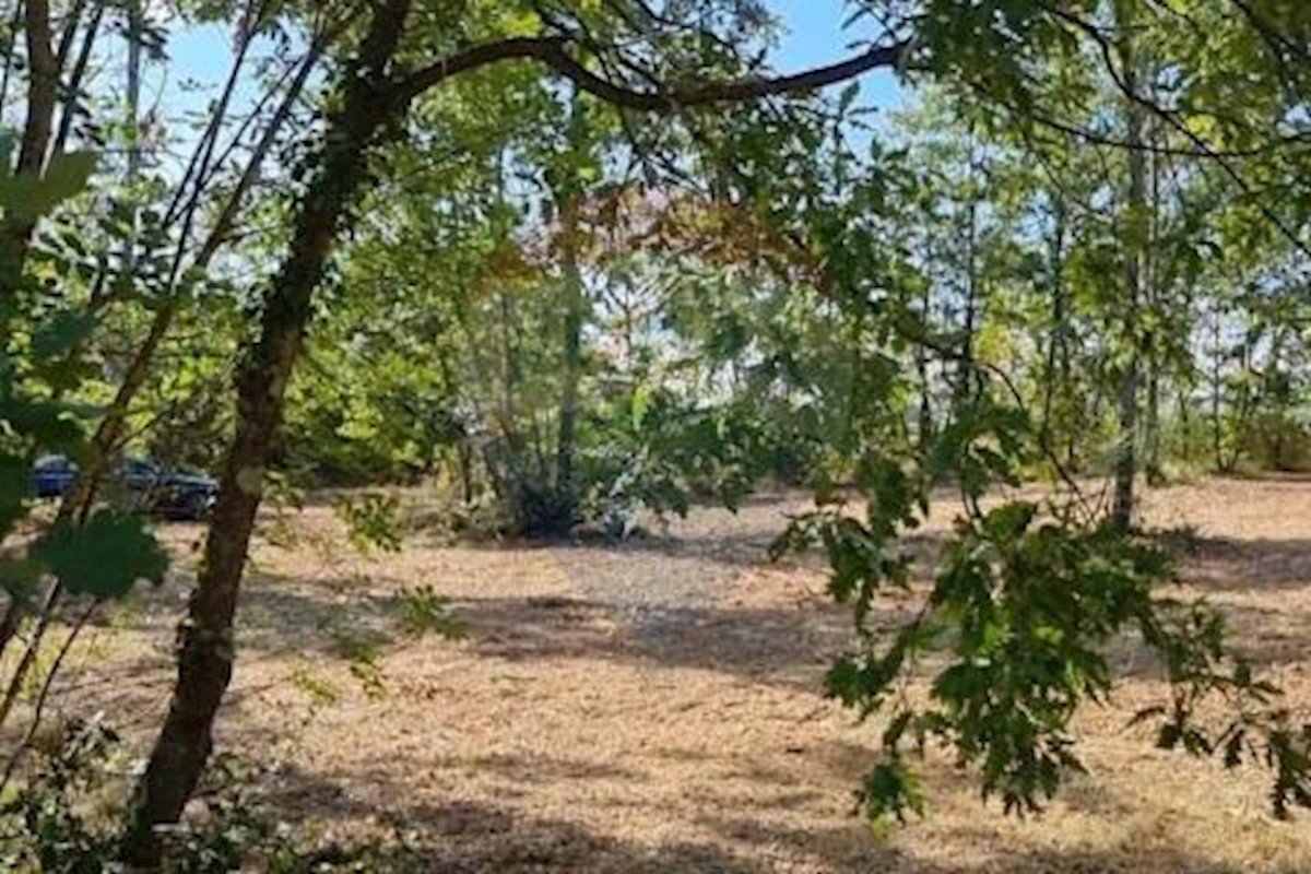 Land For sale - ISTARSKA  PAZIN 