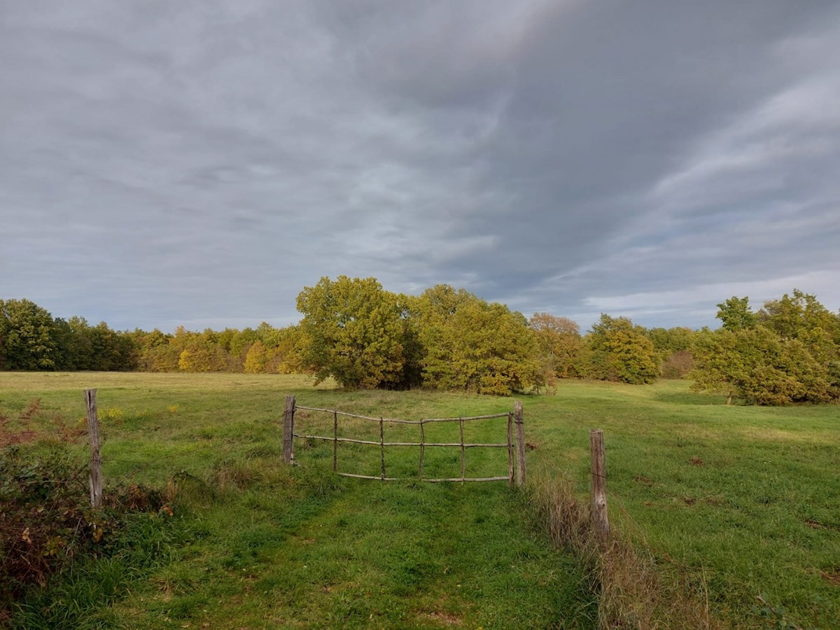 Terreno In vendita - ISTARSKA  MARČANA 