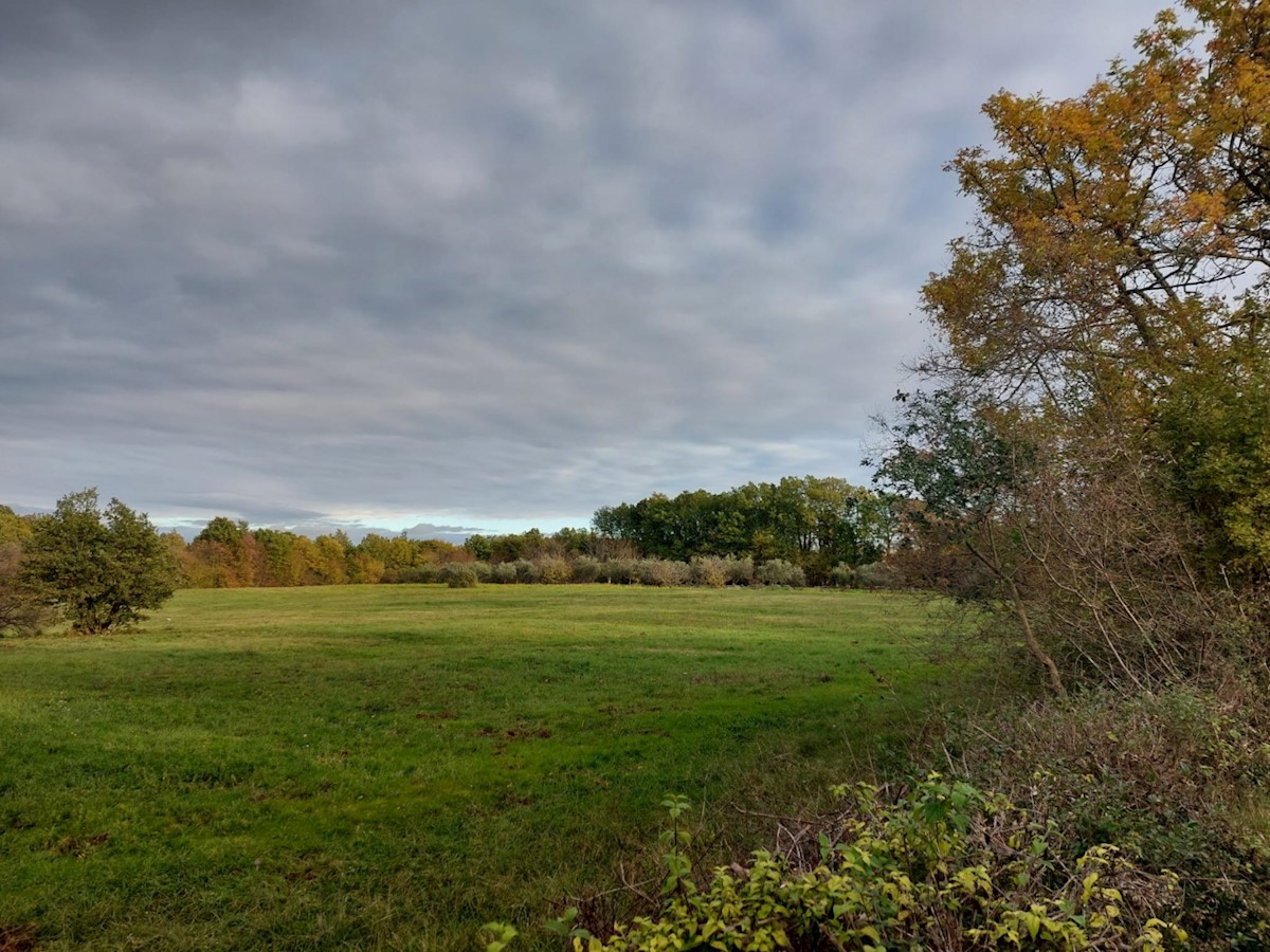 Terreno In vendita - ISTARSKA  MARČANA 