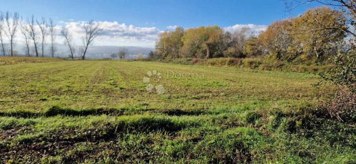 Pozemek Na prodej POLJE ČEPIĆ