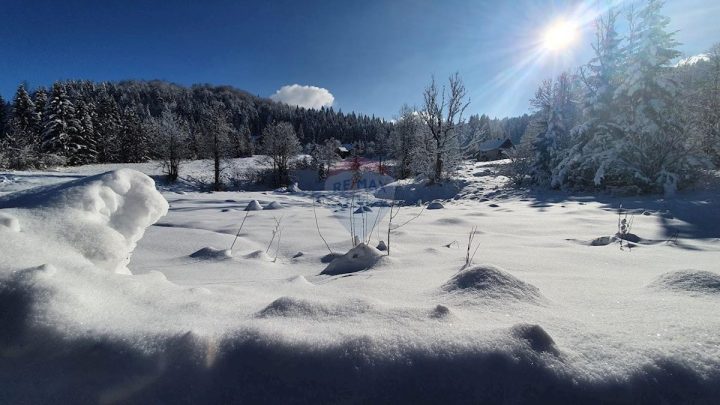 Land For sale STARA SUŠICA