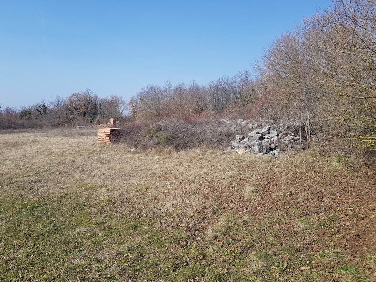 Land For sale - ISTARSKA  SVETVINČENAT 