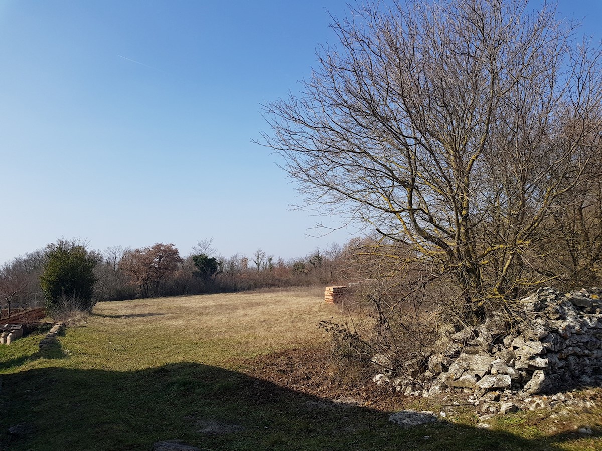 Land For sale - ISTARSKA  SVETVINČENAT 