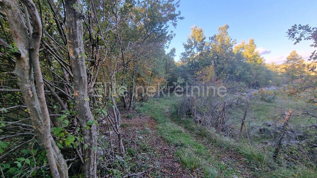 Land For sale - ISTARSKA  POREČ 